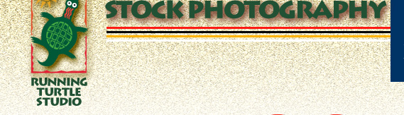 Stock Photography: Main Index 