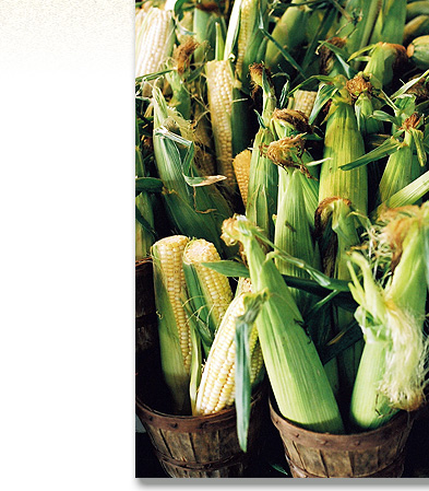 Stock Photography: Farmer's Market