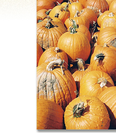 Stock Photography: Farmer's Market