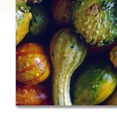 Stock Photography: Farmer's Market