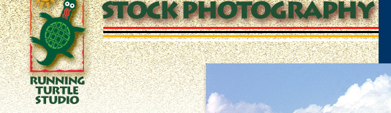 Stock Photography: Texas